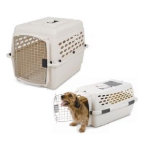 ACCESSOIRES CANINS